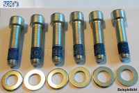 SGF - Schraubensatz M12 X 50 BI-10005